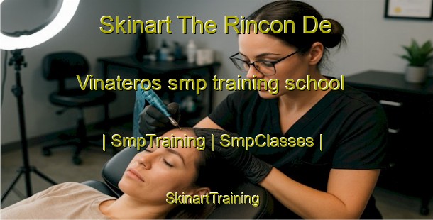 Skinart The Rincon De Vinateros smp training school | SmpTraining | SmpClasses | SkinartTraining-Mexico